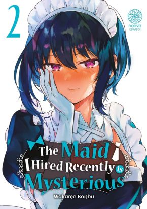 The maid i hired recently is mysterious tome 2