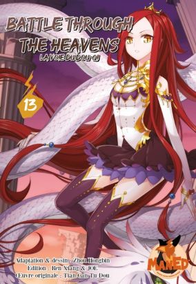 Battle through the heavens - la voie du Dou-Qi tome 13