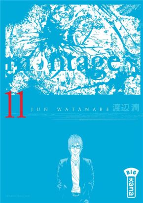 Montage tome 11