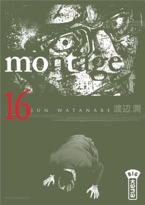 Montage tome 16