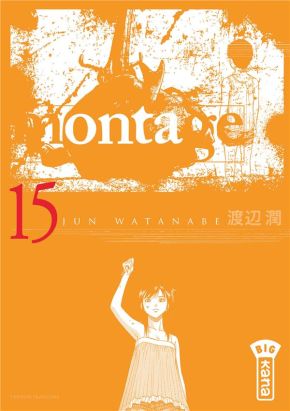 Montage tome 15