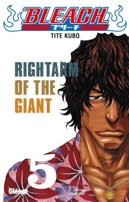 bleach tome 5 - rightarm of the giant