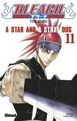 bleach tome 11 - a star and a stray dog
