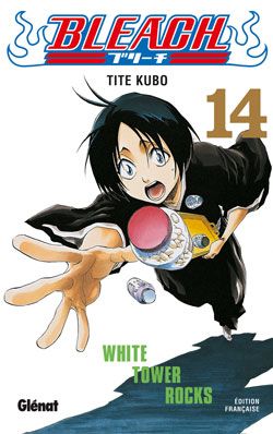 bleach tome 14 - white tower rocks