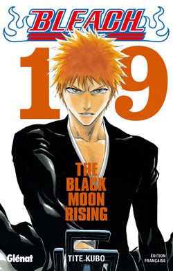 bleach tome 19 - the black moon rising