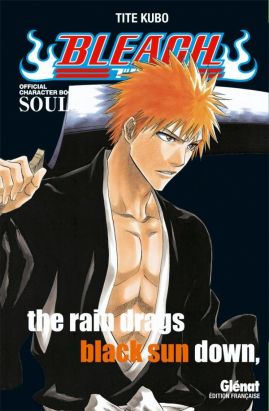 bleach ; souls : the rain drags black sun down (fan book)