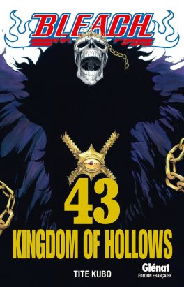 bleach tome 43 - kingdom of hollows