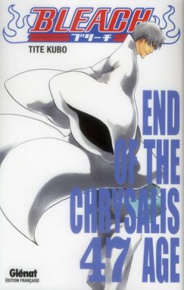 bleach tome 47 - end of the chrysalis age