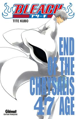 bleach tome 47 - end of the chrysalis age