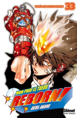 reborn tome 33 - voilà une ombre noire reborn tome 33 - voilà une ombre noire