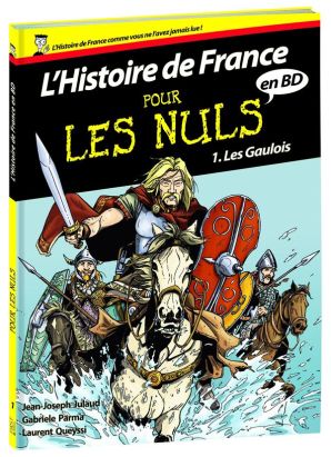 l'histoire de France en BD pour les nuls Tome 1 ; les Gaulois