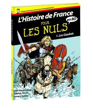 l'histoire de France en BD pour les nuls Tome 1 ; les Gaulois l'histoire de France en BD pour les nuls Tome 1 ; les Gaulois