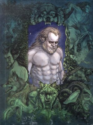 le bois des vierges tome 3 - coffret + cale