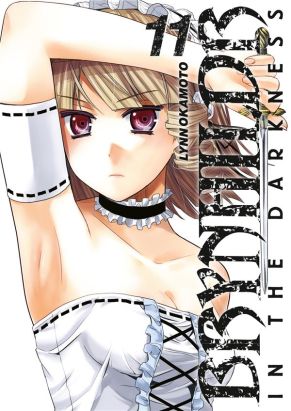 Brynhildr in the Darkness tome 11