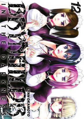 Brynhildr in the darkness tome 12