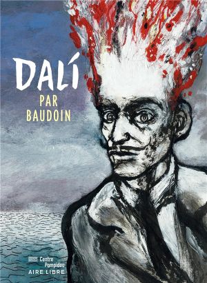 Dalí par Baudoin