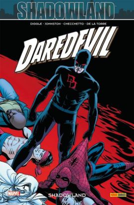 Daredevil tome 22 - Shadowland