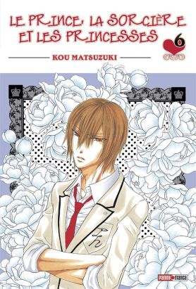 Le Prince, la sorcière et les princesses tome 6