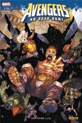 Avengers - no road home tome 1