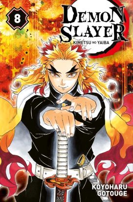 Demon slayer tome 8