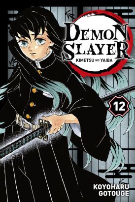 Demon slayer tome 12
