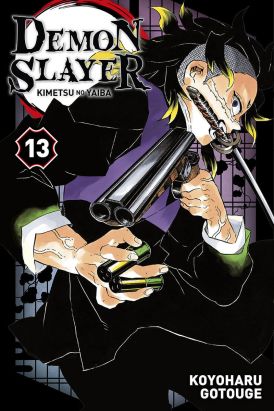 Demon slayer tome 13