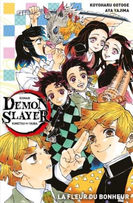 Demon slayer (roman) tome 1