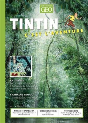 Tintin, c'est l'aventure tome 7