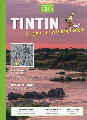 Tintin, c'est l'aventure tome 11