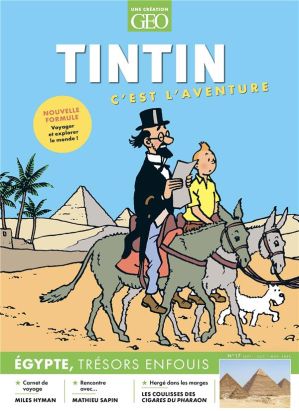 Tintin c'est l'aventure tome 17