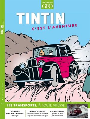 Tintin, c'est l'aventure tome 21