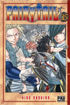Fairy tail tome 35