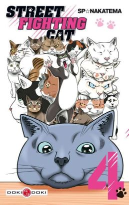 Street fighting cat tome 4