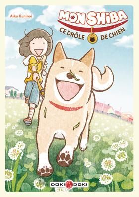 Mon shiba, ce drôle de chien