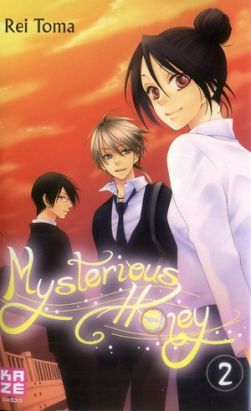 mysterious honey tome 2
