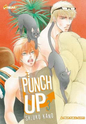 punch up tome 3