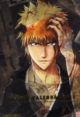 bleach calendrier 2013