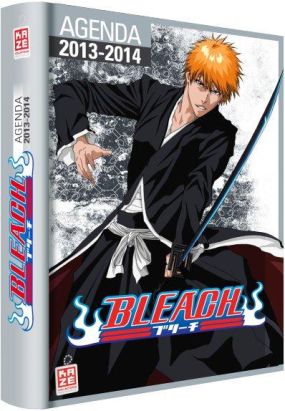 bleach ; agenda scolaire 2013-2014