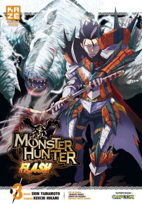 monster hunter flash tome 3