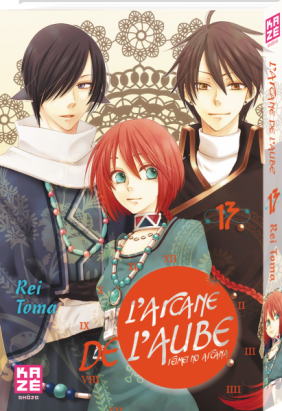 L'arcane de l'aube tome 13