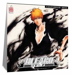 Bleach - Calendrier 2015