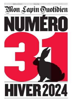 Revue Mon Lapin Quotidien tome 31