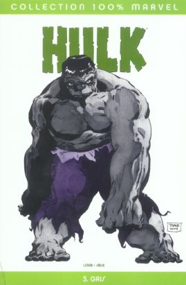 hulk tome 3 - gris
