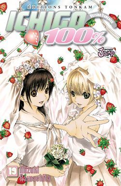ichigo 100% tome 19