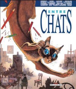 entre chats entre chats