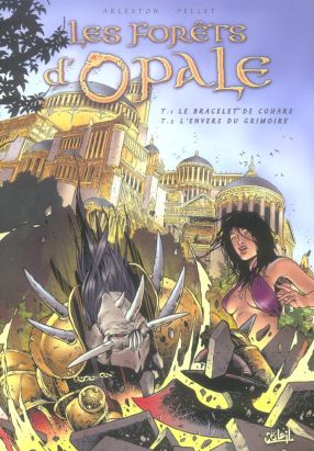 les forets d'opale - coffret tome 1 + tome 2 - édition noir/blanc grand format les forets d'opale - coffret tome 1 + tome 2 - édition noir/blanc grand format