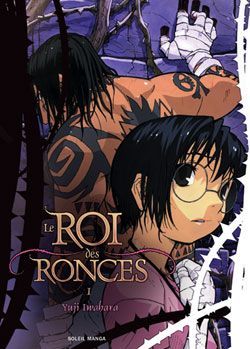 le roi des ronces tome 1 - couleur