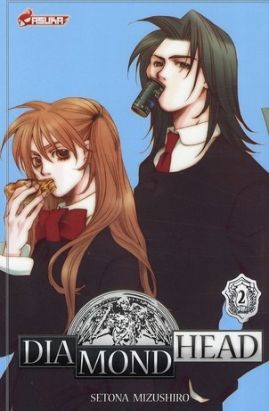 Diamond head tome 2