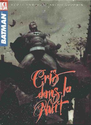 Batman - Cris dans la nuit