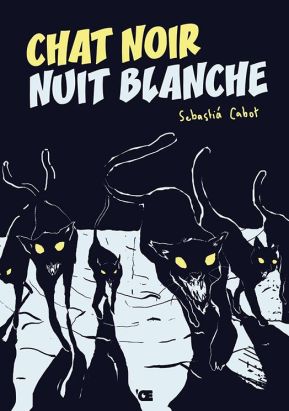 Chat noir nuit blanche